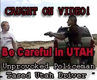 Driver Tased For Asking Officer Why He Was Stopped