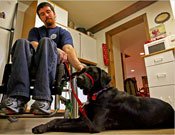 Service dogs being trained by inmates for disabled war veterans