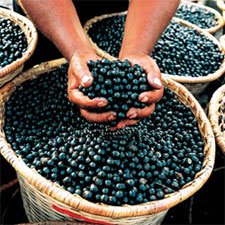 acai
