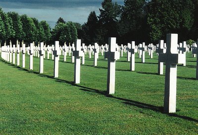 belleau_shadows_400