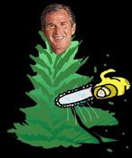 bushshrub1
