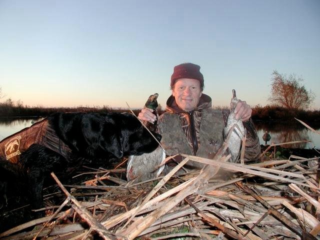 duck4