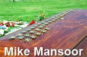 mikemansoor