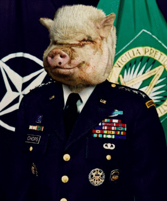 oink_400