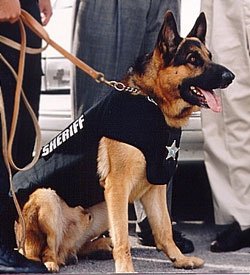 pk9vest2
