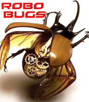 robo bugs cyborg insects military
