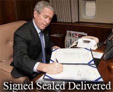 signedbush