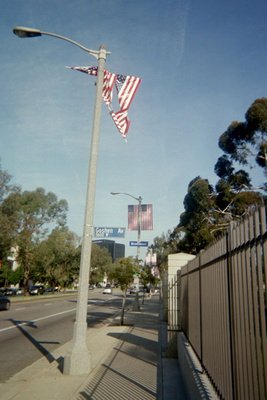 twistedflag_400