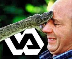 vavipers
