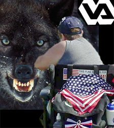 wolveveteran