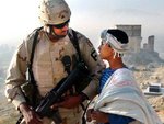 seals_150
