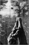 the_wall_150
