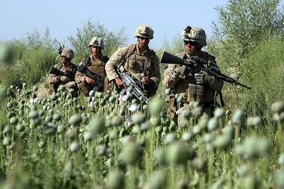 usmarinesopiumfield