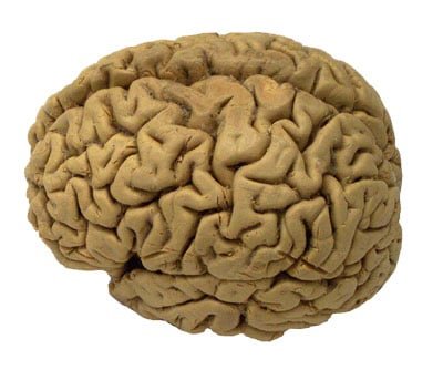 CAREGIVER SERIES: DEMENTIA/ALZHEIMERS – ANGER AND AGGRESSION