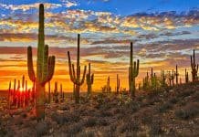 Is Arizona the Most Racist State in Amerikkka?