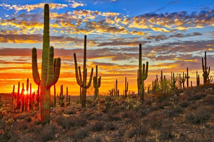 arizona