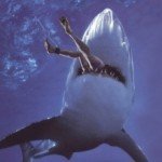 Shark Eats Americans