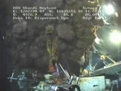 BP Disaster, June 11, 2010