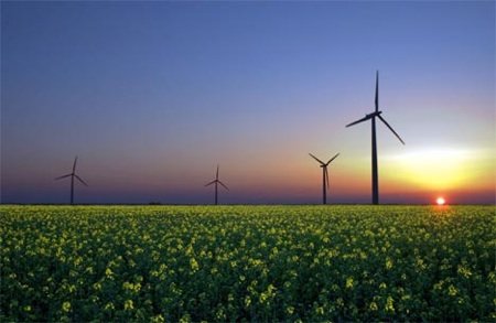 Clean Energy Economy