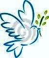Peace Now