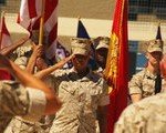 Saluting Troops