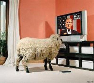 Bush Lied: Thousands died and thousands tortured