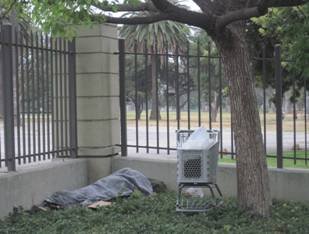 Homeless vet in LA