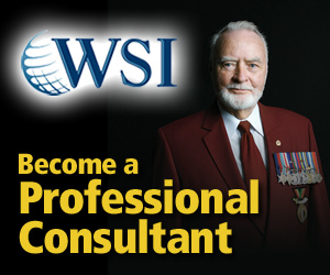 WSI Franchise Consultant