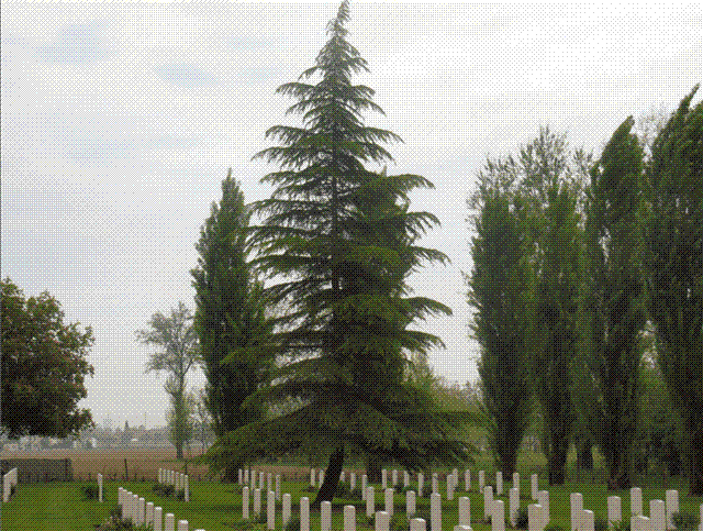 Padua Commonwealth Military Cemetery