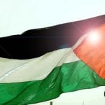 palestine solidarity