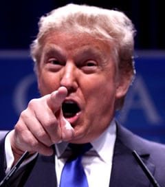 Trump you are fired!
