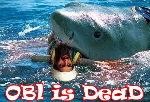 OBL IS DEAD and the Terror ConMen Rejoice in Chorus of Kumbaya