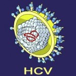 hepatitis C virus image