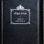 Book-Cover-Rabbi-Yitzhak-Shapiro-Killing-Gentiles-240