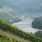 The Mosel