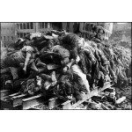 German Dead