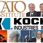 Koch Cato[1]