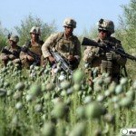 Soldiers_poppies