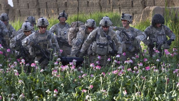 Soliders_poppy field
