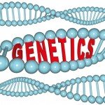 WEB genes-1