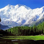 india-kashmir-white-mountains-green-valley-05[1]