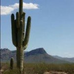 Arizona