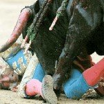 BullFighter_pinned