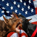 US FLAG DOGS OF WAR