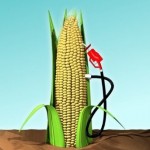ethanol corn