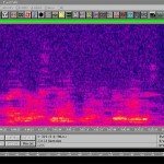 evp-5