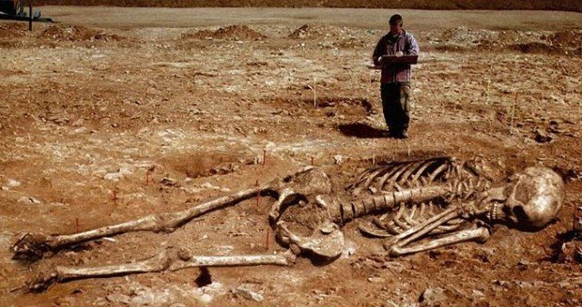 giants skeleton remains charlesfrith com