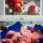 baby-tomatoe