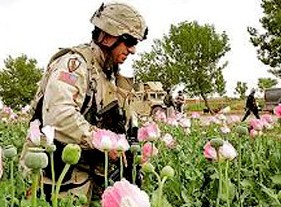 Drug production skyrockets with NATO running the show - And this is called a war on drugs