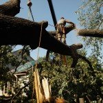 Clean Up Begins From Friday Storms That Knocked Power And Downed Trees Throughout Region